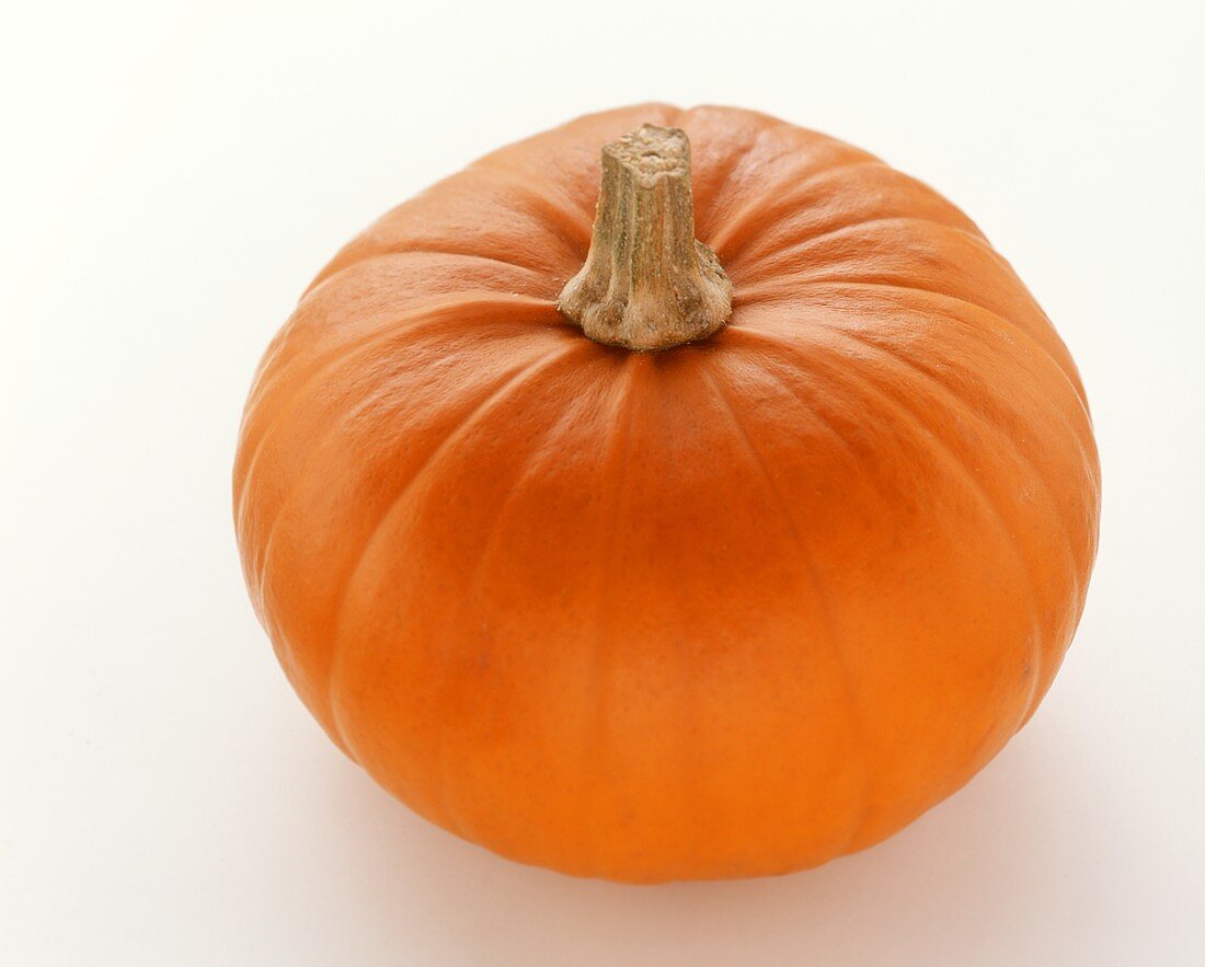 Giant orange pumpkin on white background