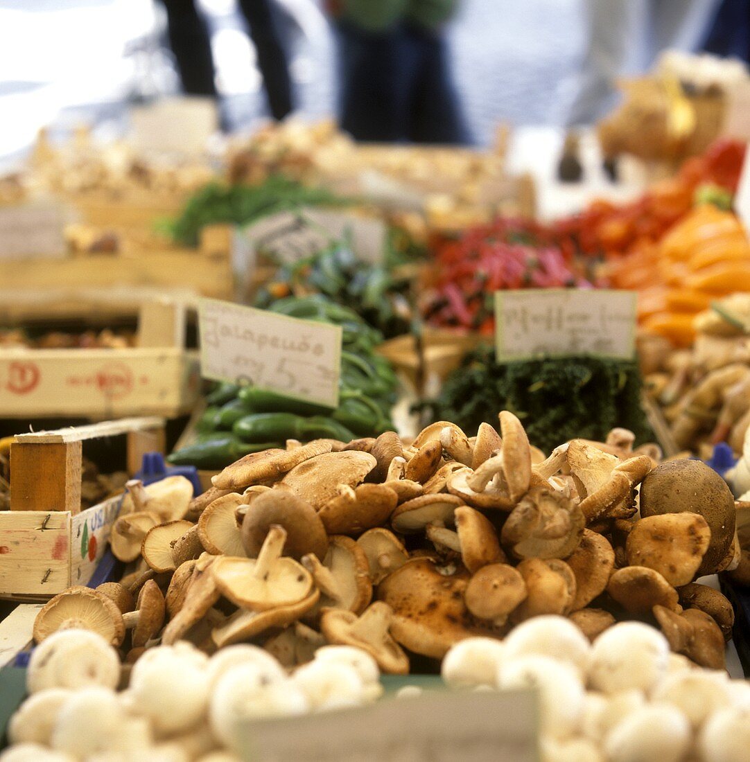 Mushrooms and vegetables at a market