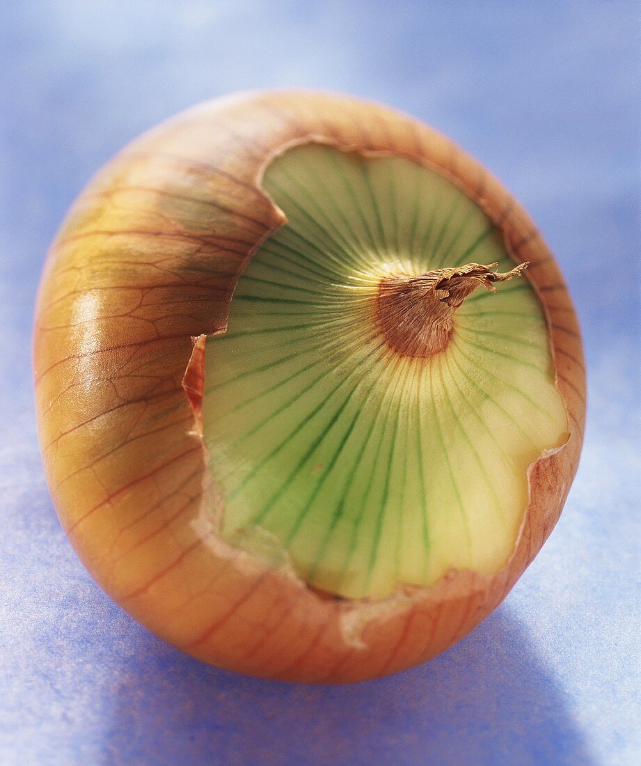Onion, partly peeled, on blue background