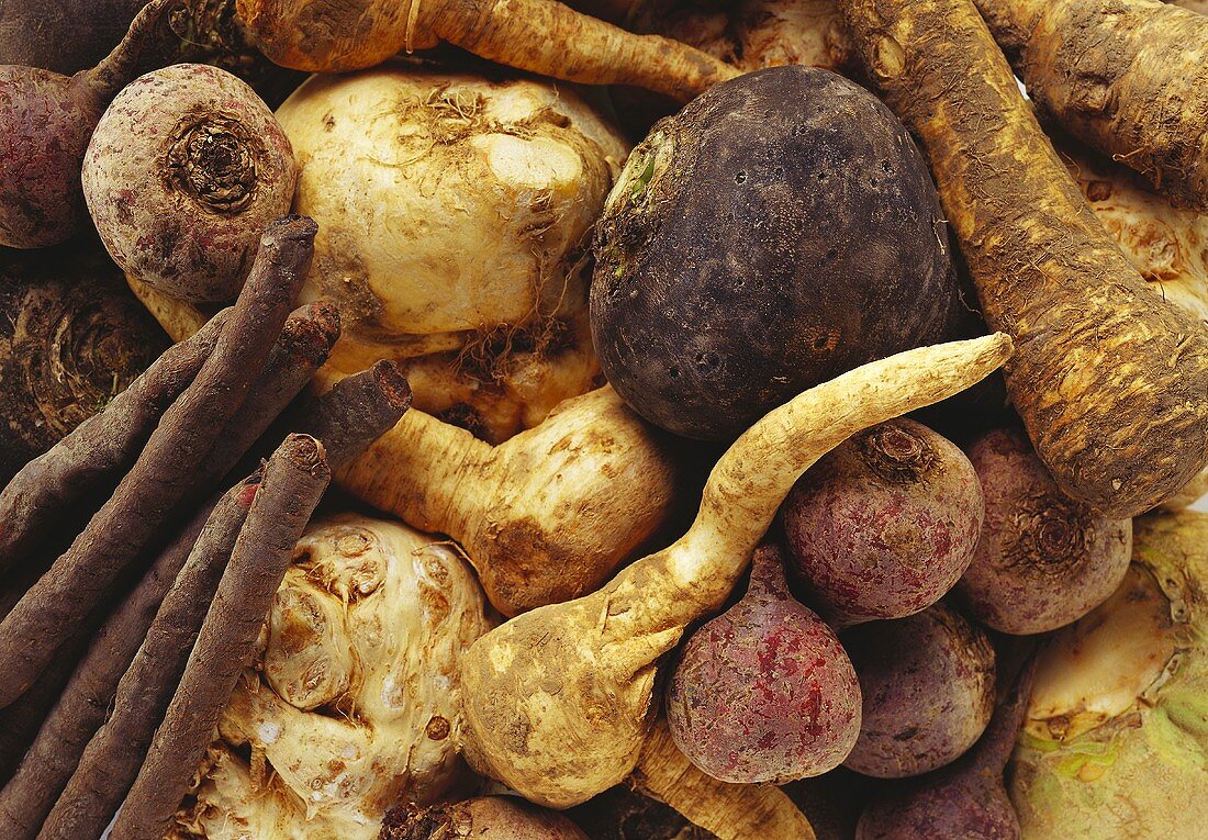 Several types of root vegetables, filling the picture