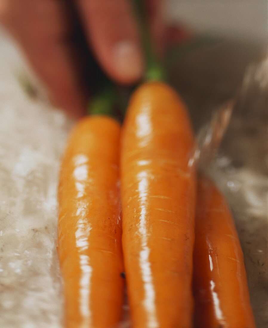 Drei Karotten werden gewaschen