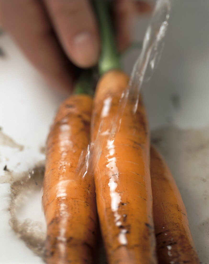 Drei Karotten werden gewaschen