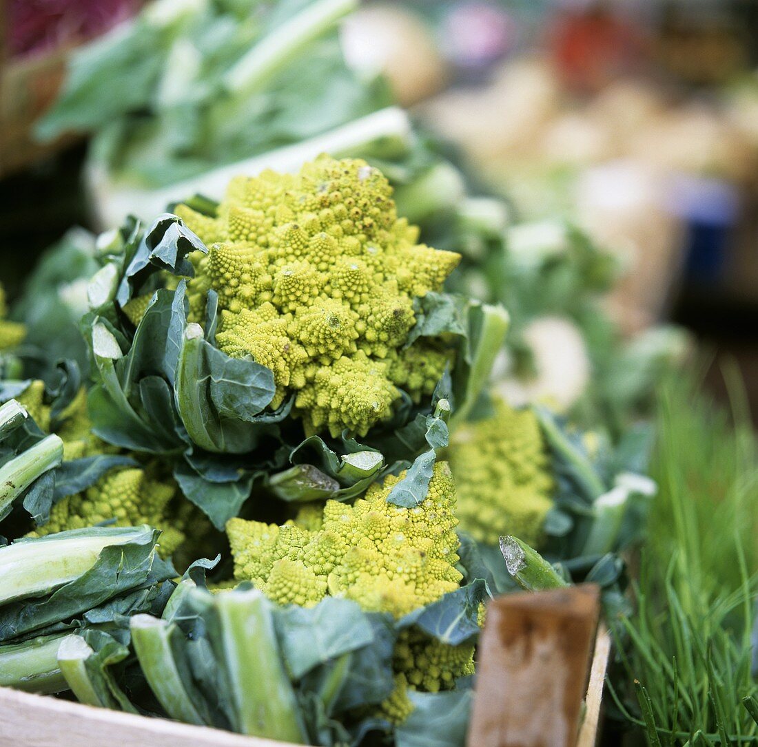 Romanesco auf dem Markt