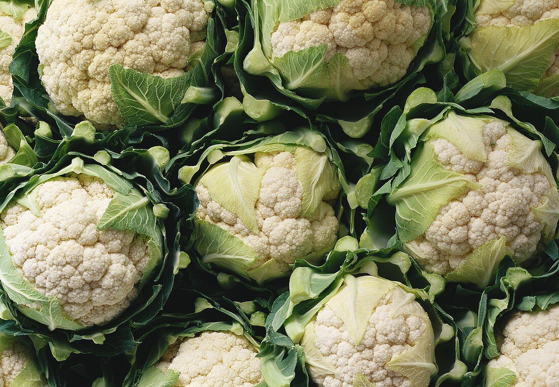 A few cauliflowers, filling the picture
