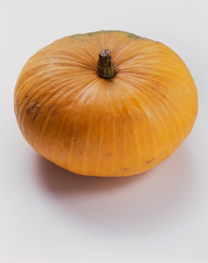 A large pumpkin, variety Big Max