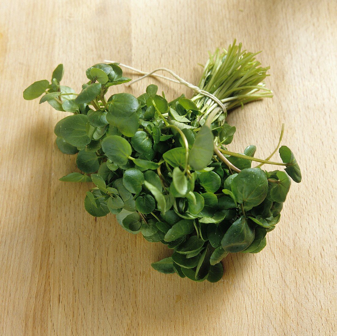 A bunch of watercress