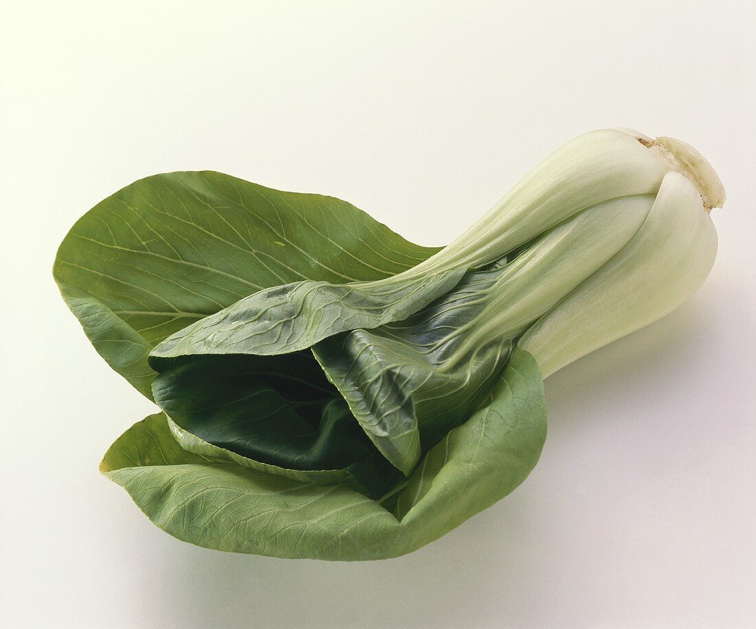 Pak Choi (Pak Choi, chinesischer Senfkohl)