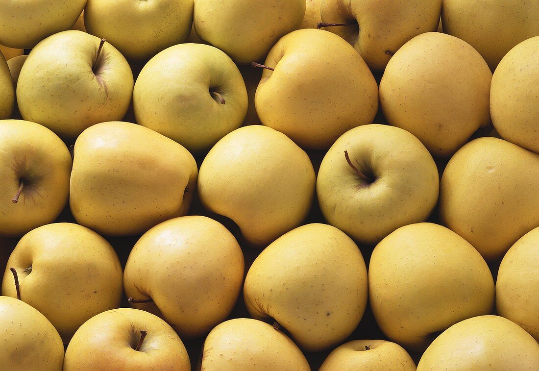 Viele Äpfel der Sorte Golden Delicious