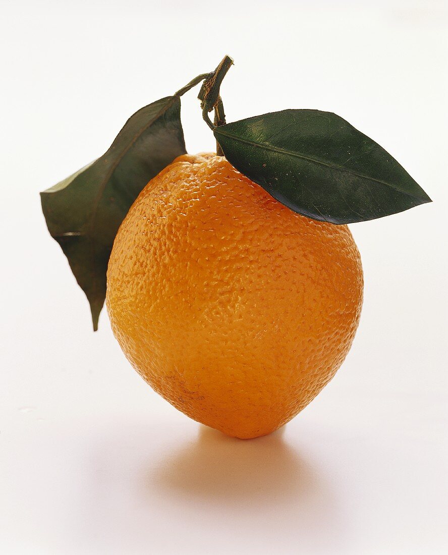 An orange with leaf stem