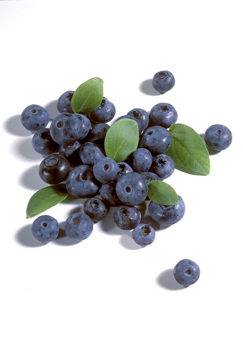 Blueberries with Leaves