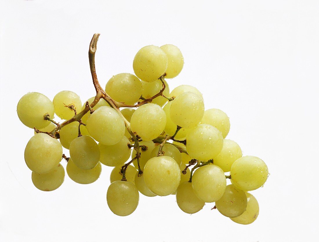 Green grapes with drops of water on pane of glass