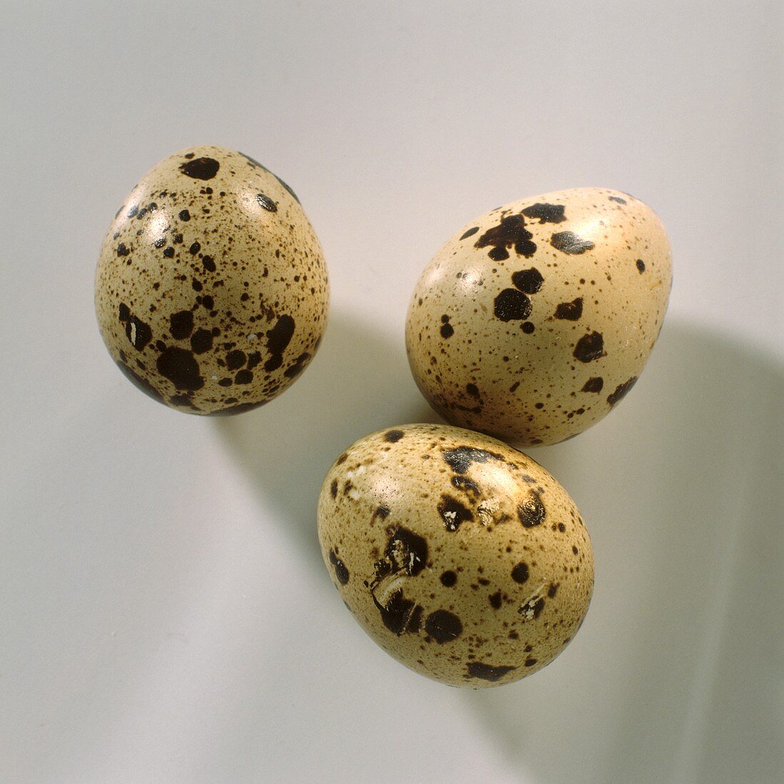 Quail's Eggs