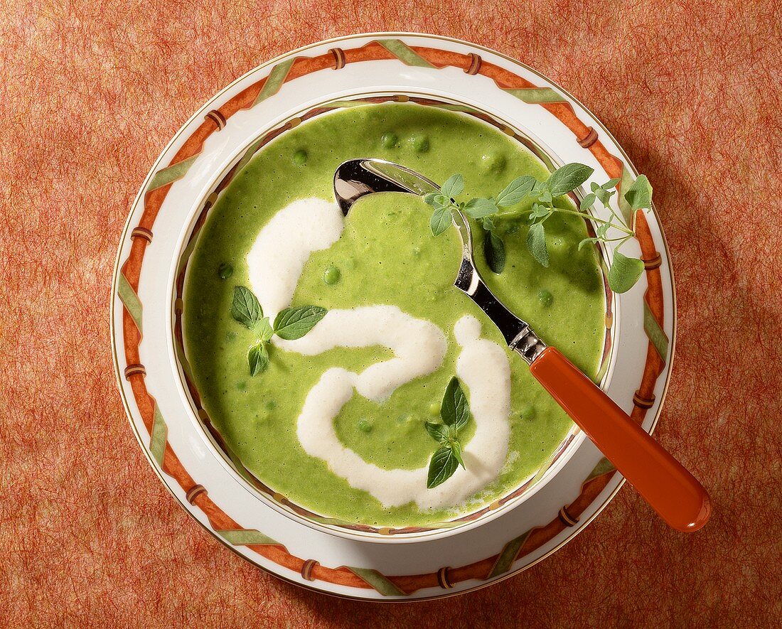 Cream of pea soup with oregano in soup plate