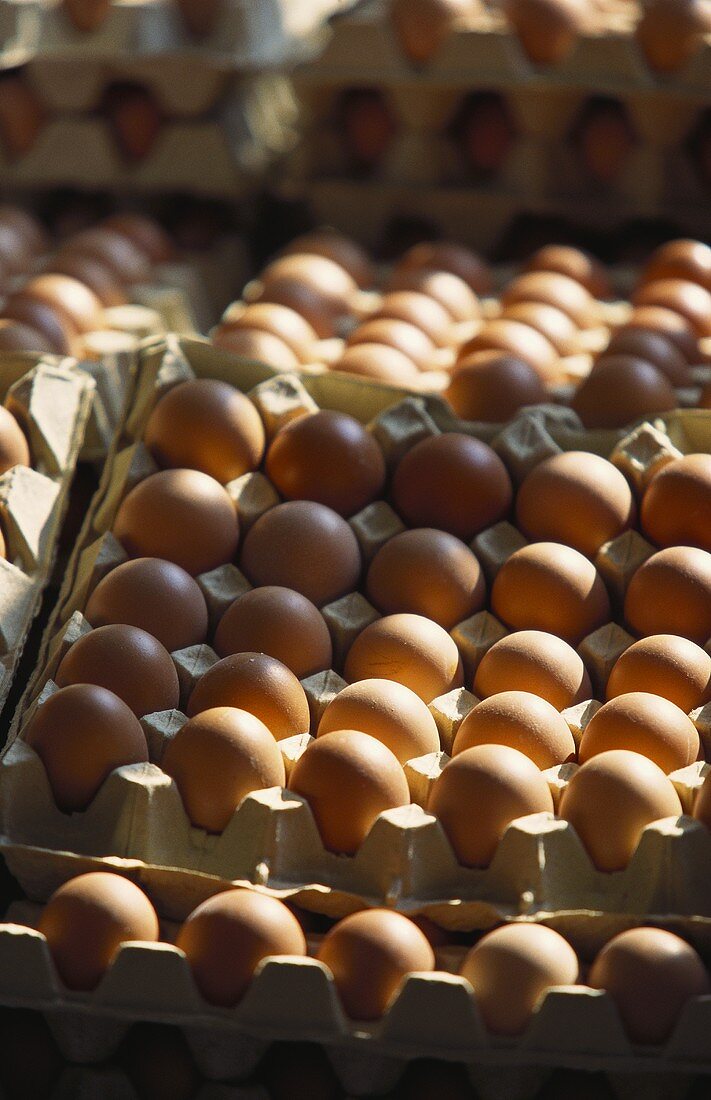 Brown eggs in egg trays at the market