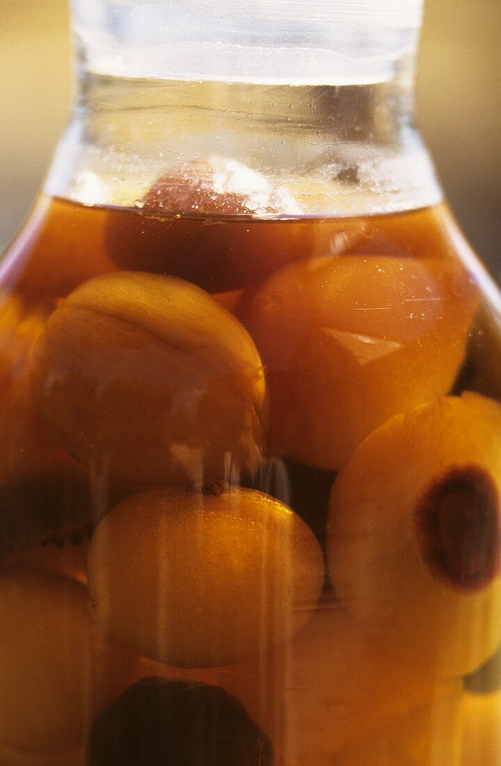 Eingelegte Aprikosen im Glas