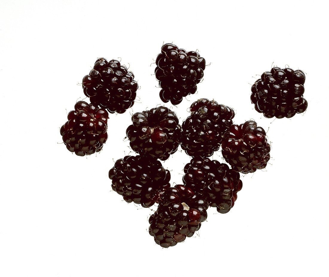 A few blackberries