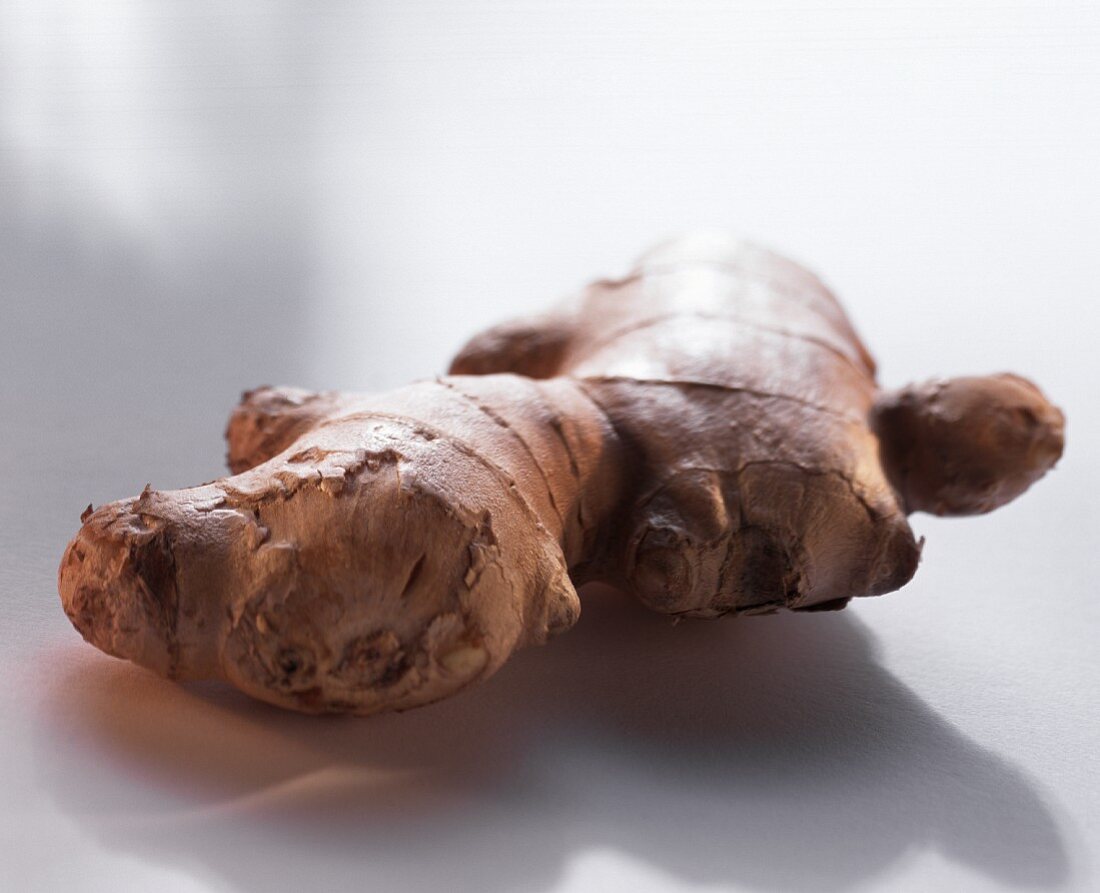 Ginger root on white background