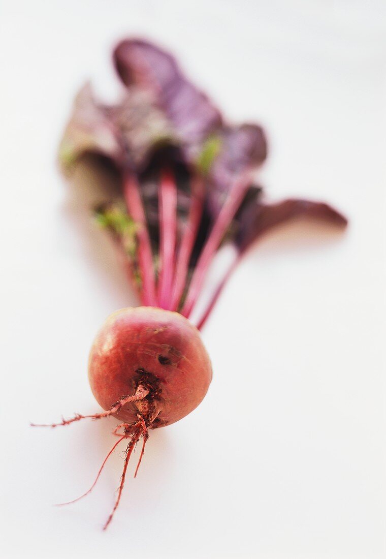 A beetroot with leaves on white background