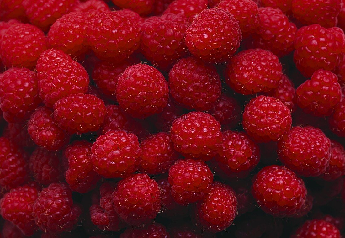 A Ripe Red Raspberry