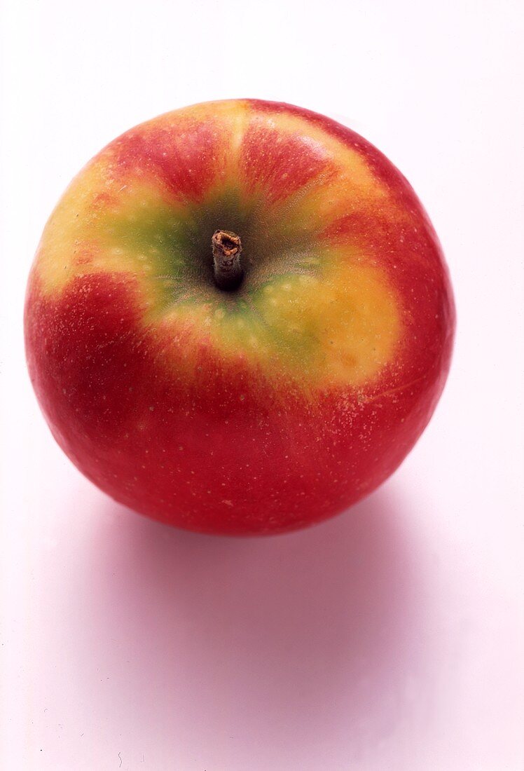Ein gelbroter Apfel (Jonathan)