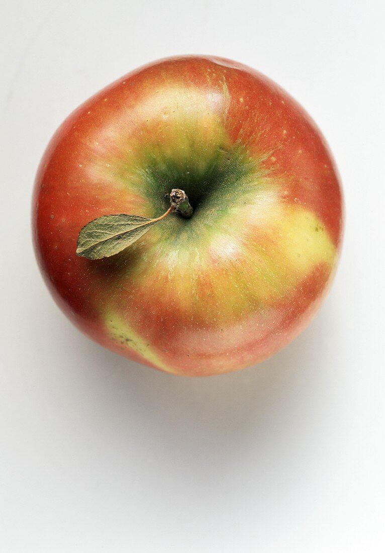 Apfel der Sorte Elstar mit Blatt