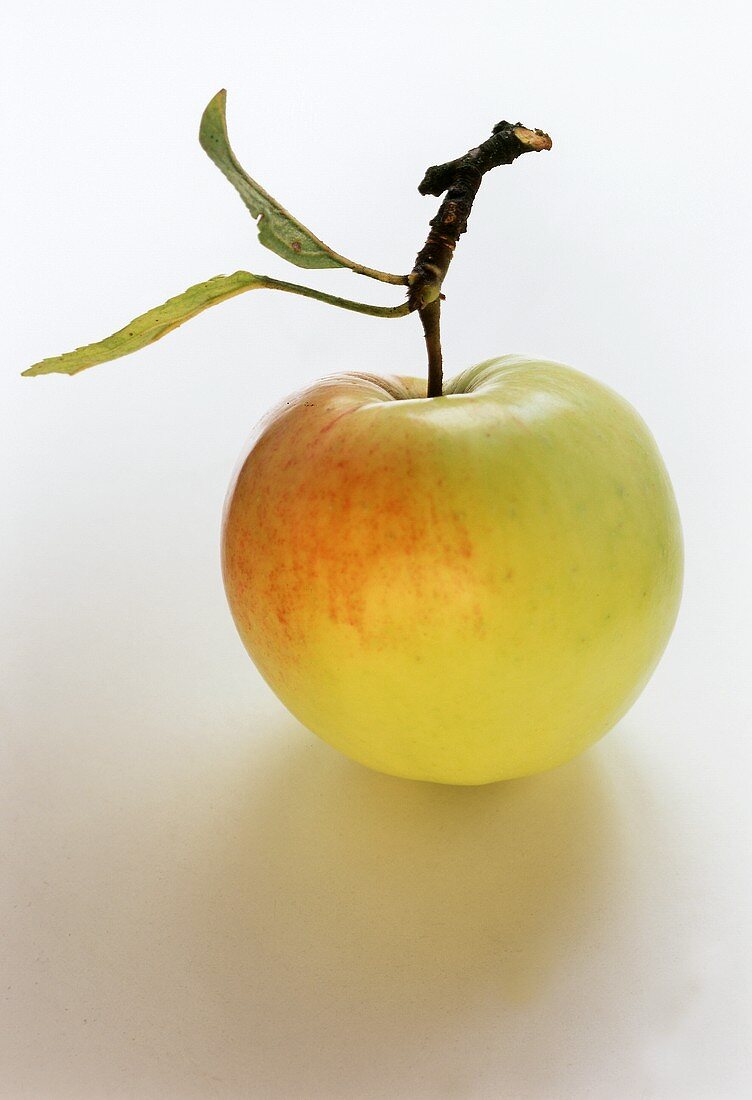 Gelbroter Apfel mit Blättern am Stiel