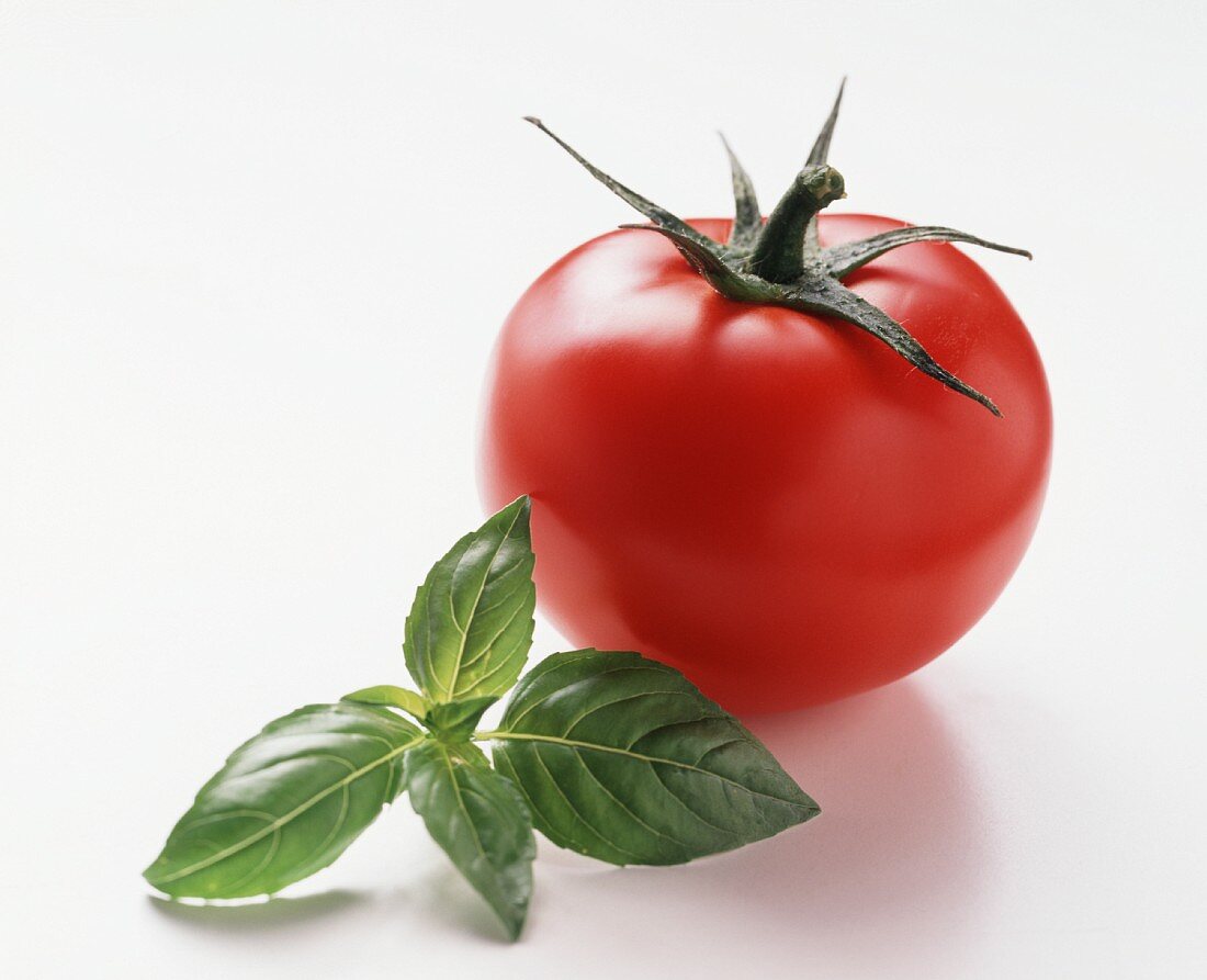 Eine Tomate und Basilikum
