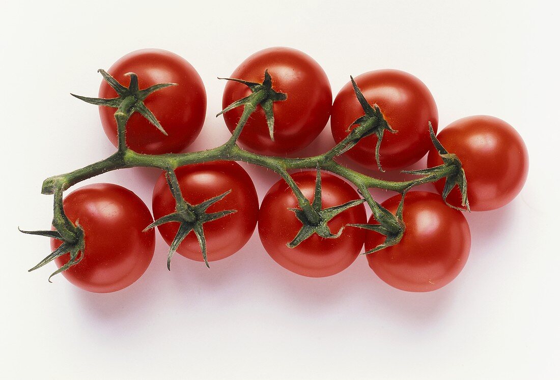 Tomatoes on the Vine