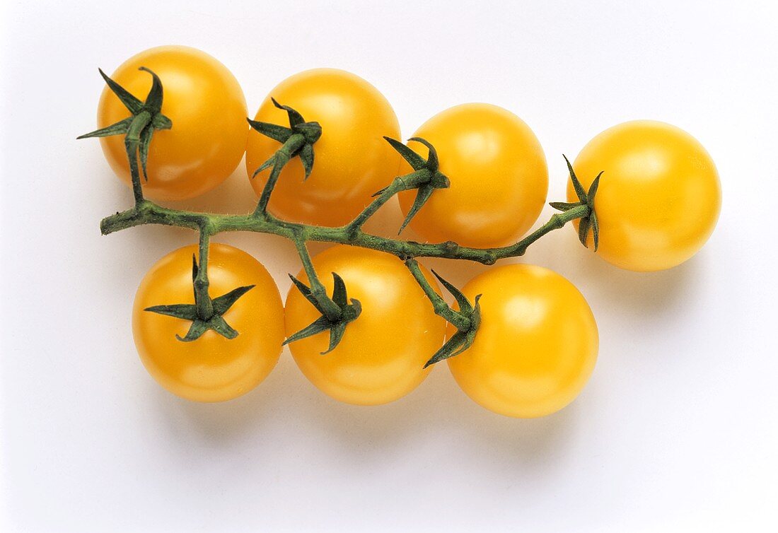 Truss of yellow tomatoes