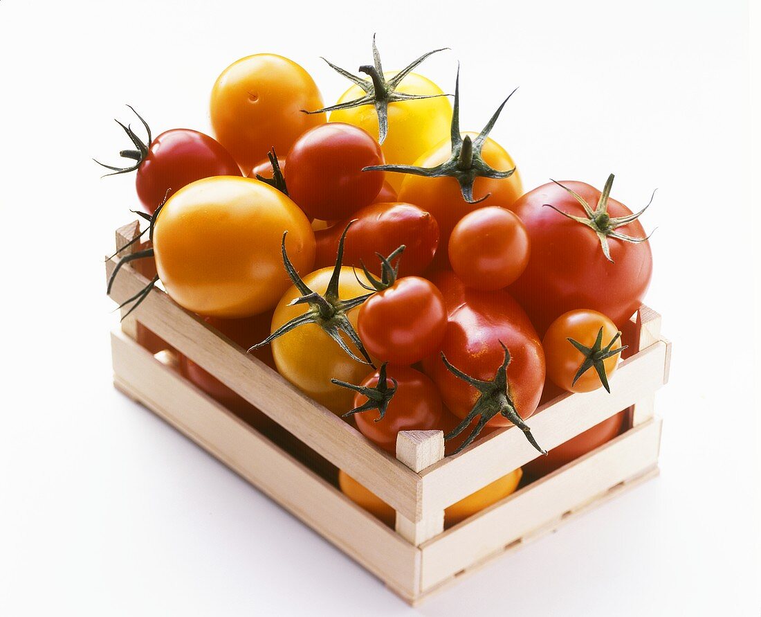 Verschiedene Tomaten in einer Steige