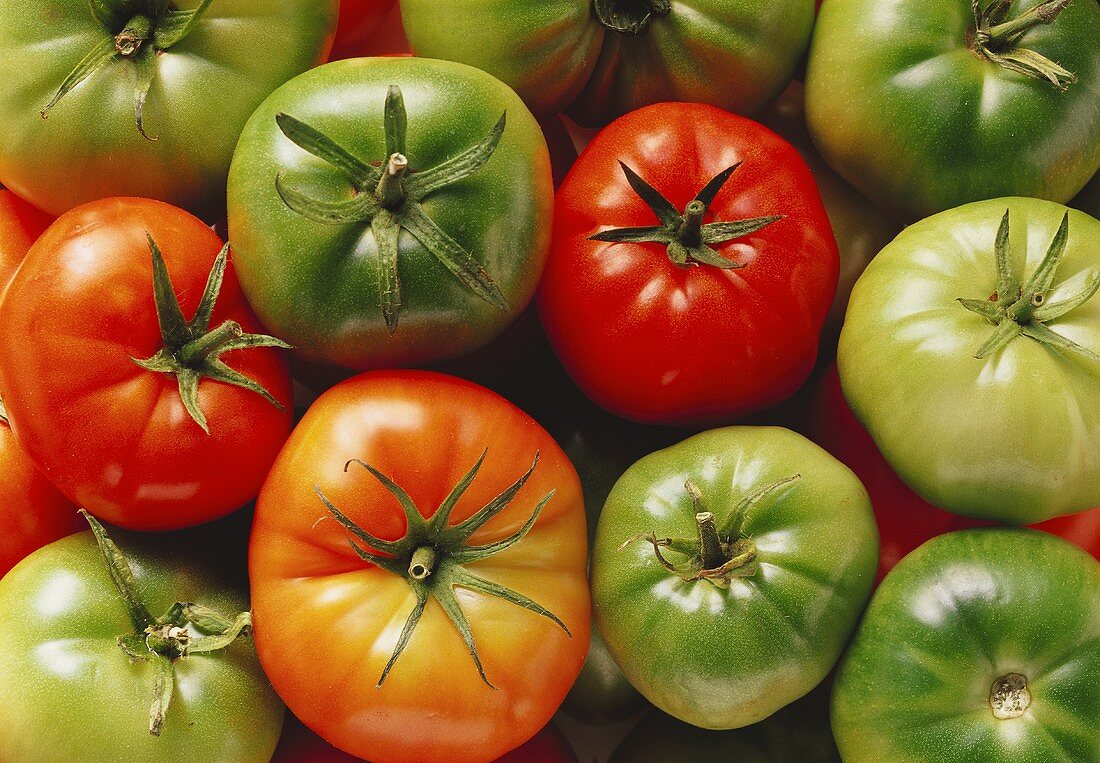 Red and green tomatoes (filling picture)