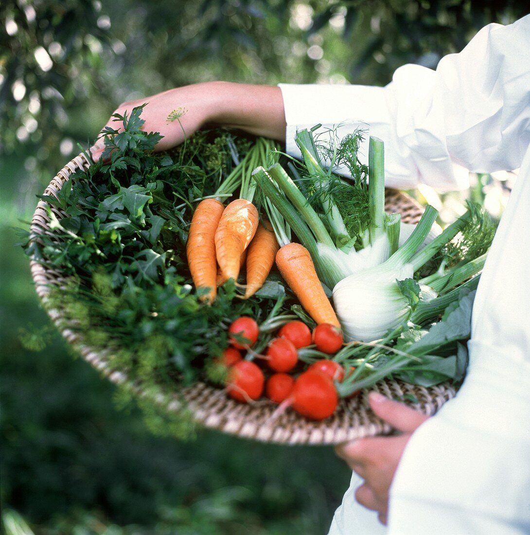 Gemüse und Kräuter im flachen Korb, von Händen gehalten