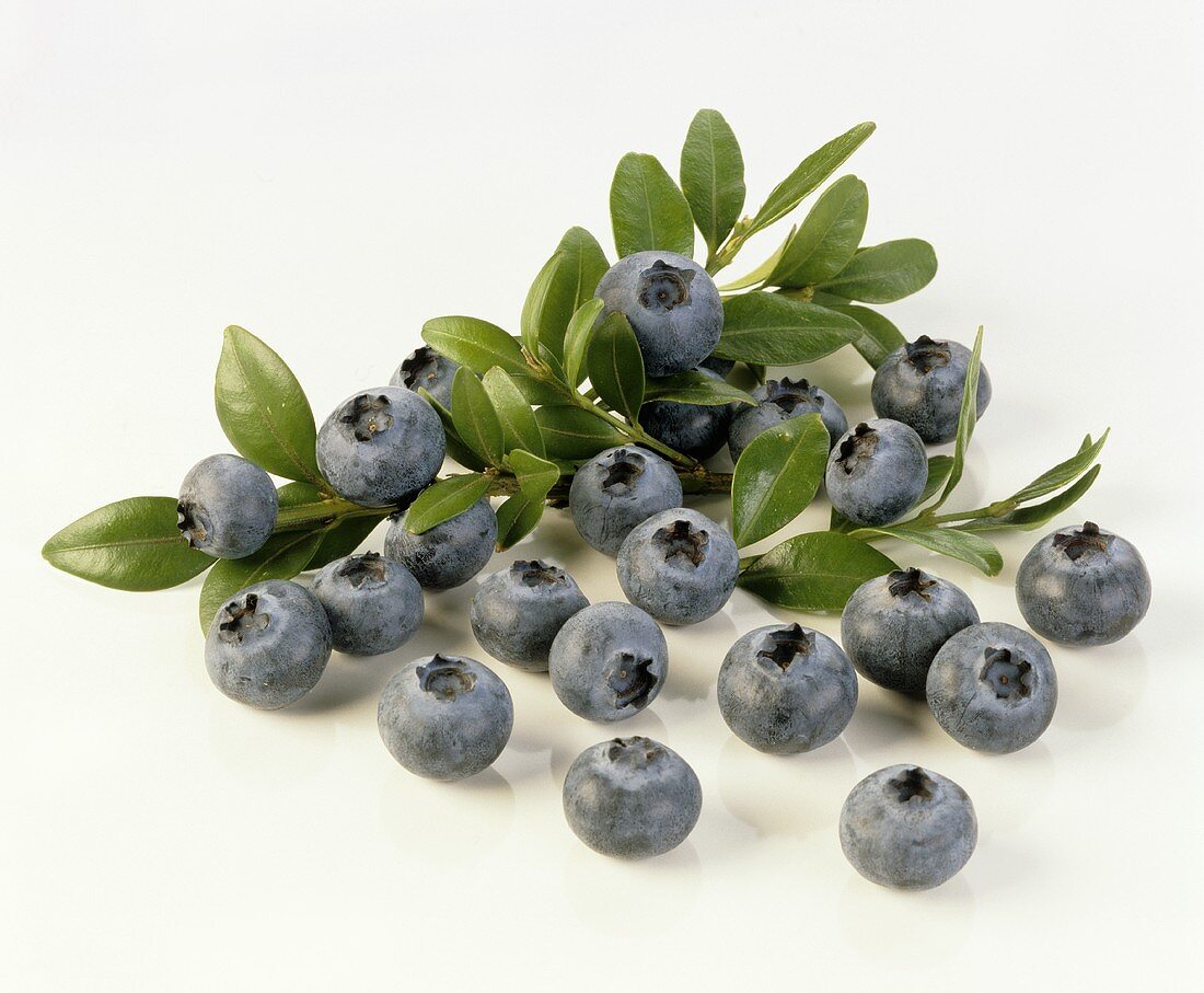 Blueberries with blueberry leaves on a white background