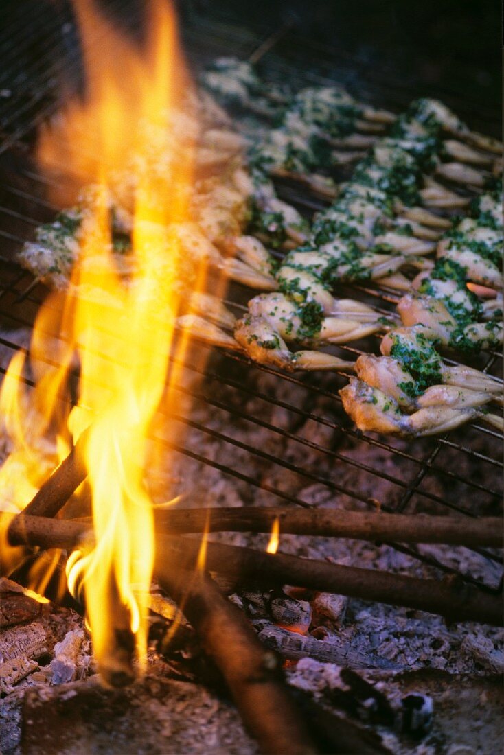 Froschschenkel mit Kräutern auf Grillrost über dem Feuer