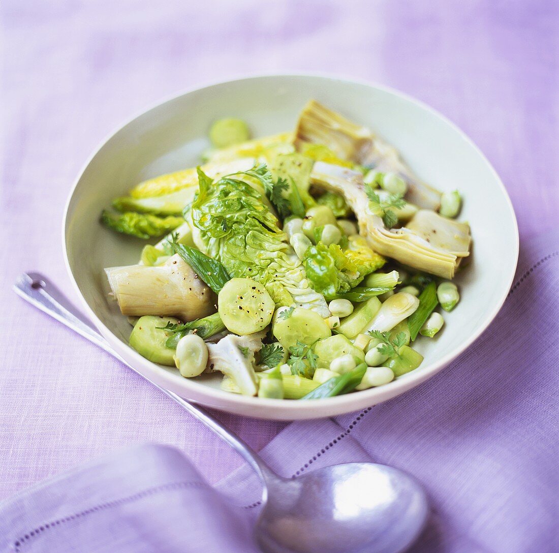 Green vegetable salad with beans, cucumber, artichokes