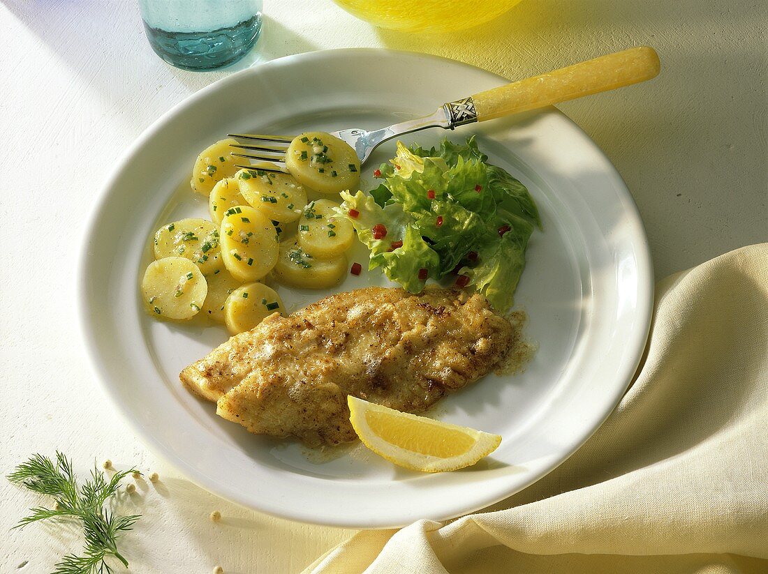 Gebratenes Rotbarschfilet mit Kartoffelsalat