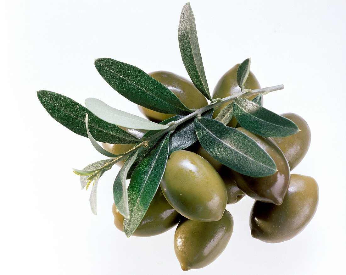 Ein Haufen grüne Oliven & Olivenzweige