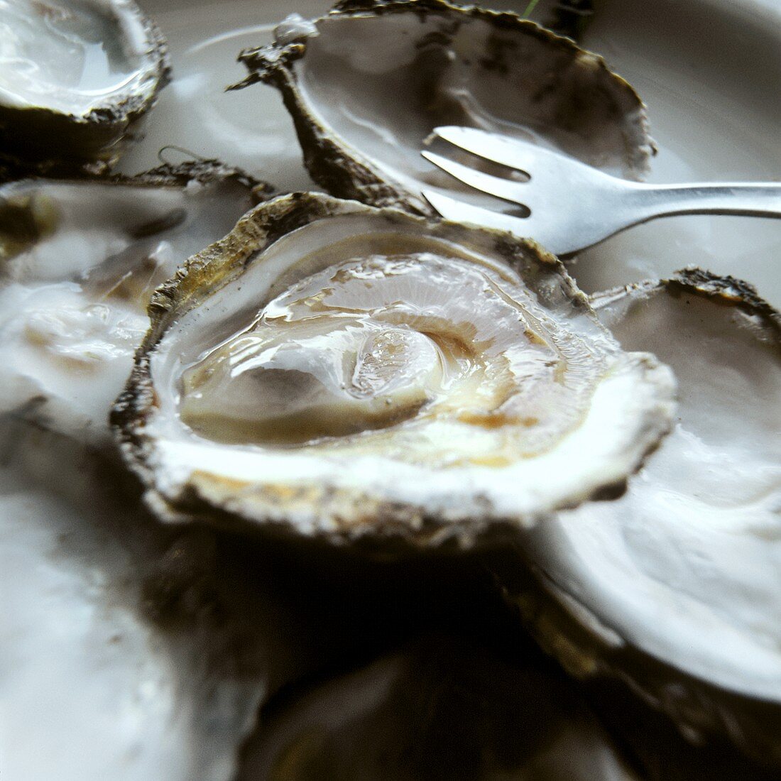 Several opened oysters, with a fork beside them