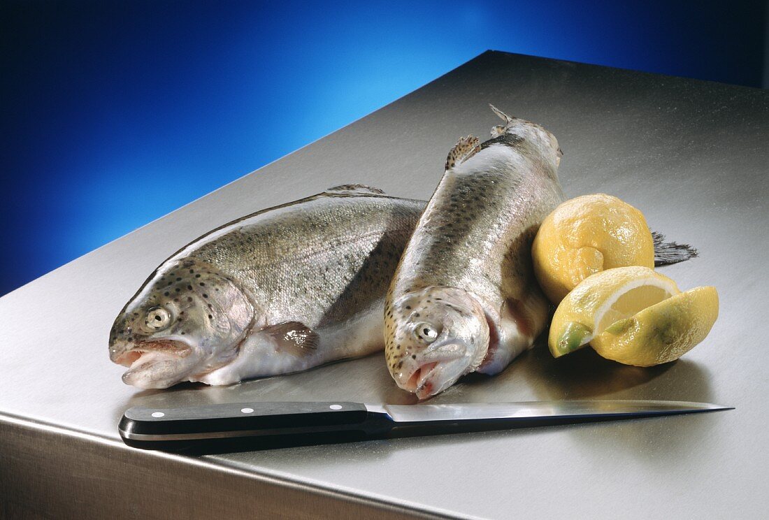 Two trout, with kitchen knife & lemons beside them