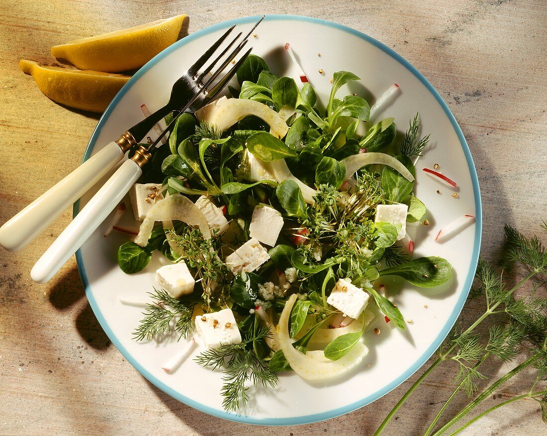 Gemischer Blattsalat mit Schafskäse