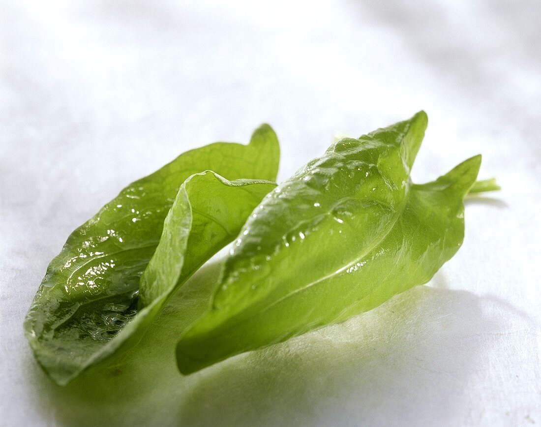 Three spinach leaves