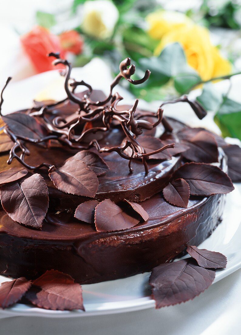 Chocolate gateau with chocolate leaves