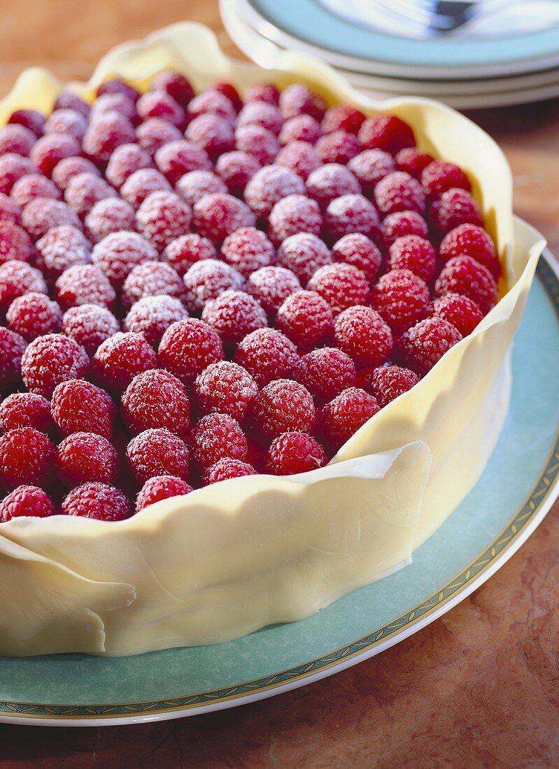 Raspberry praline (raspberry gateau with chocolate frill)