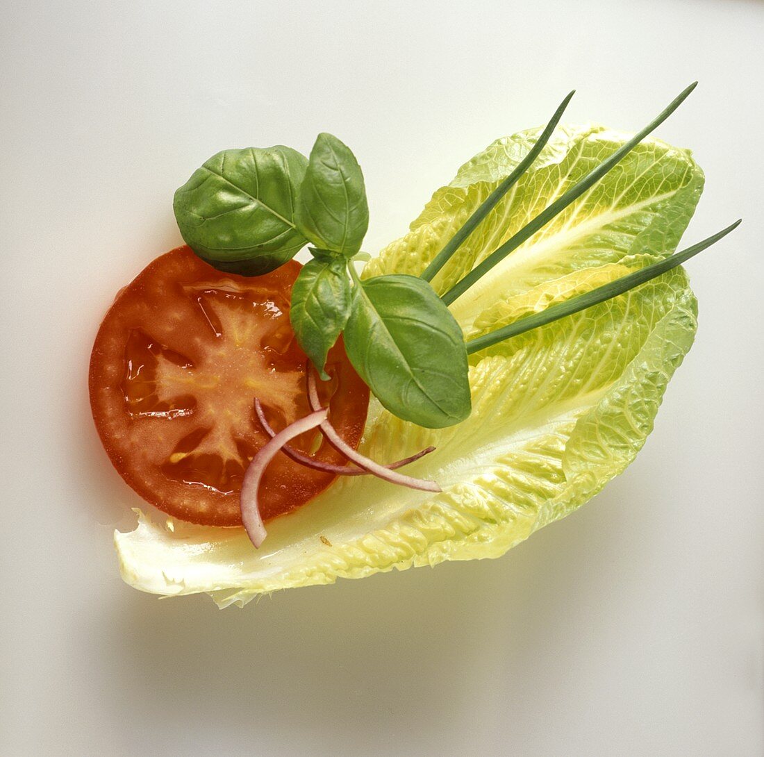 Tomato and Basil; Lettuce