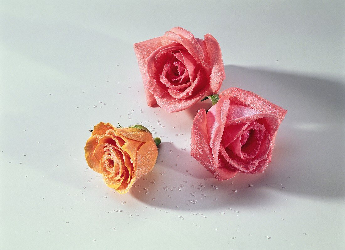 Three sugared rose petals as cake decoration