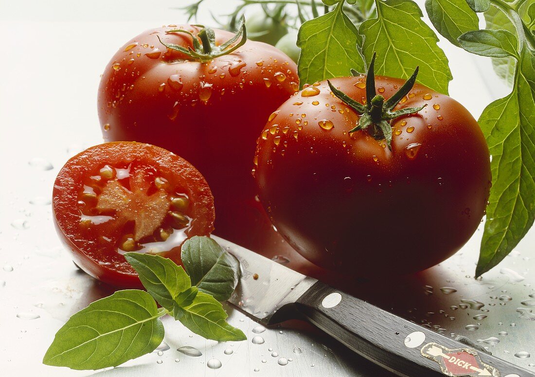 Tomaten mit Wassertropfen, daneben Basilikum und ein Messer