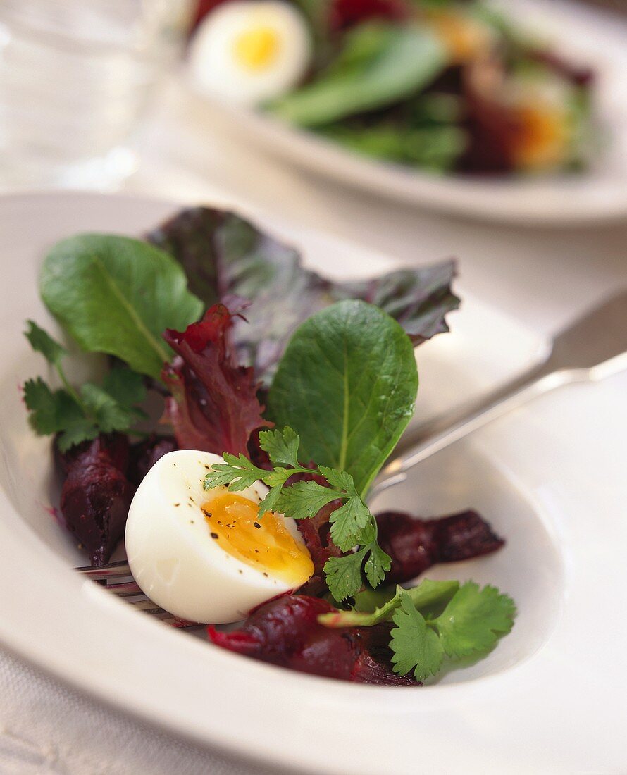 Blattsalat mit Roter Bete und wachsweichem Ei