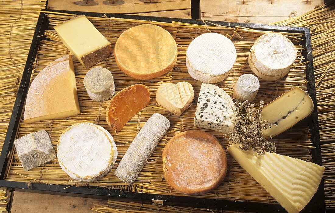 Various raw milk cheeses from Normandy on rush mat 