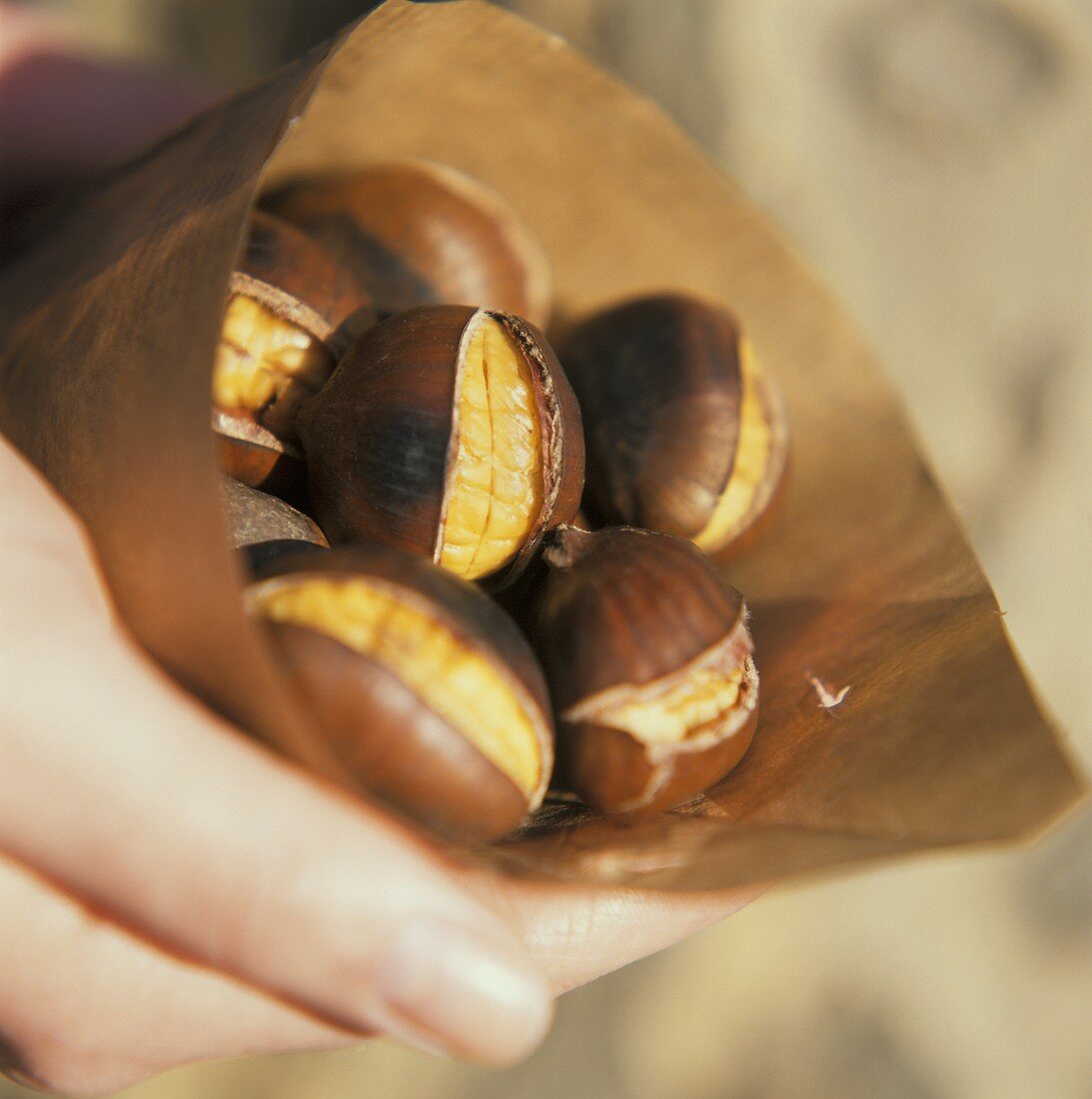 Hand holding paper bag with chestnuts