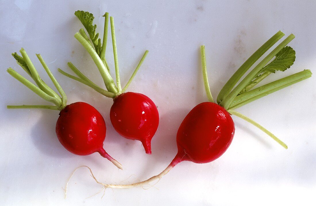 Three Red Radishes